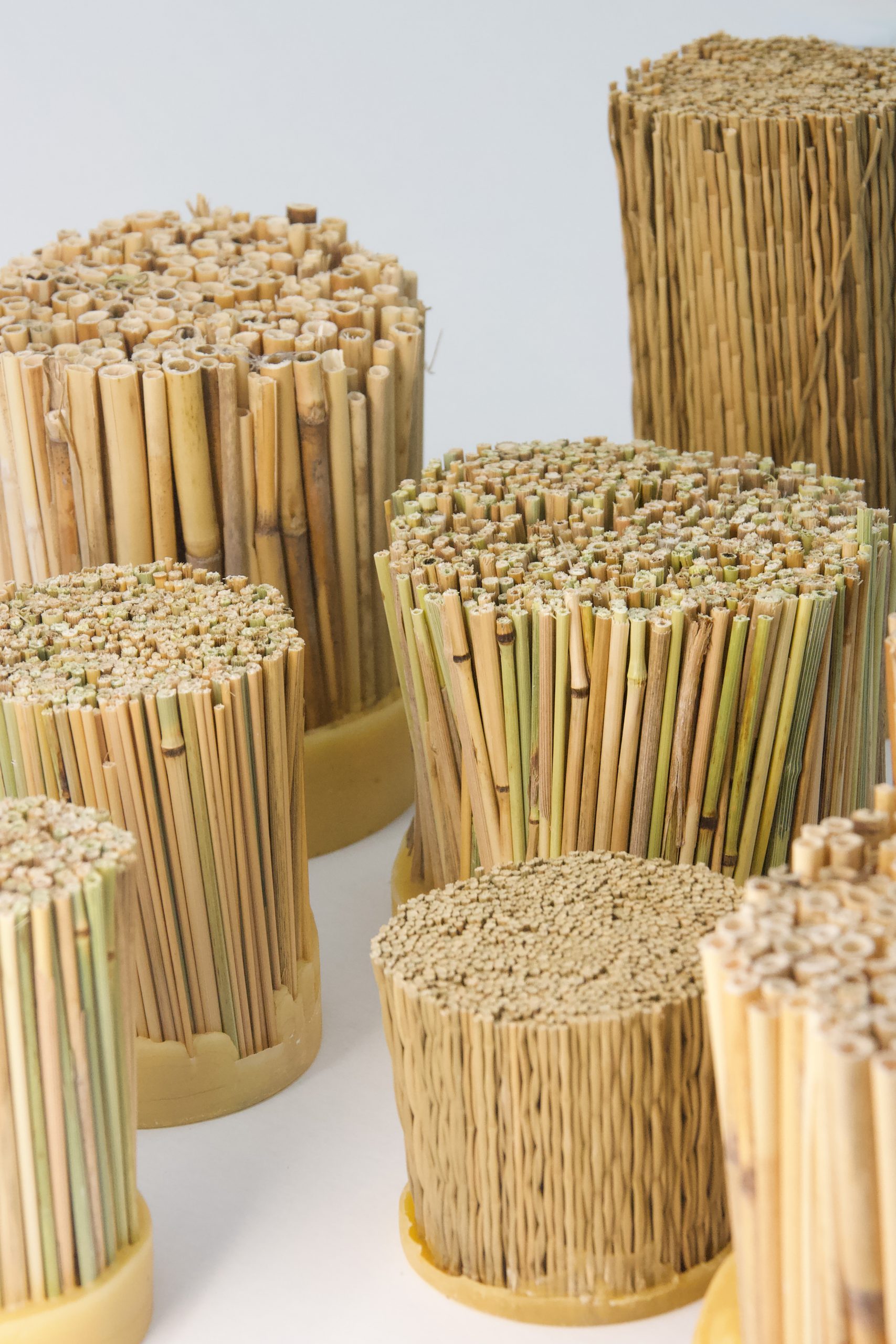 Eat After Use_Gras-3_© Lena Beigel