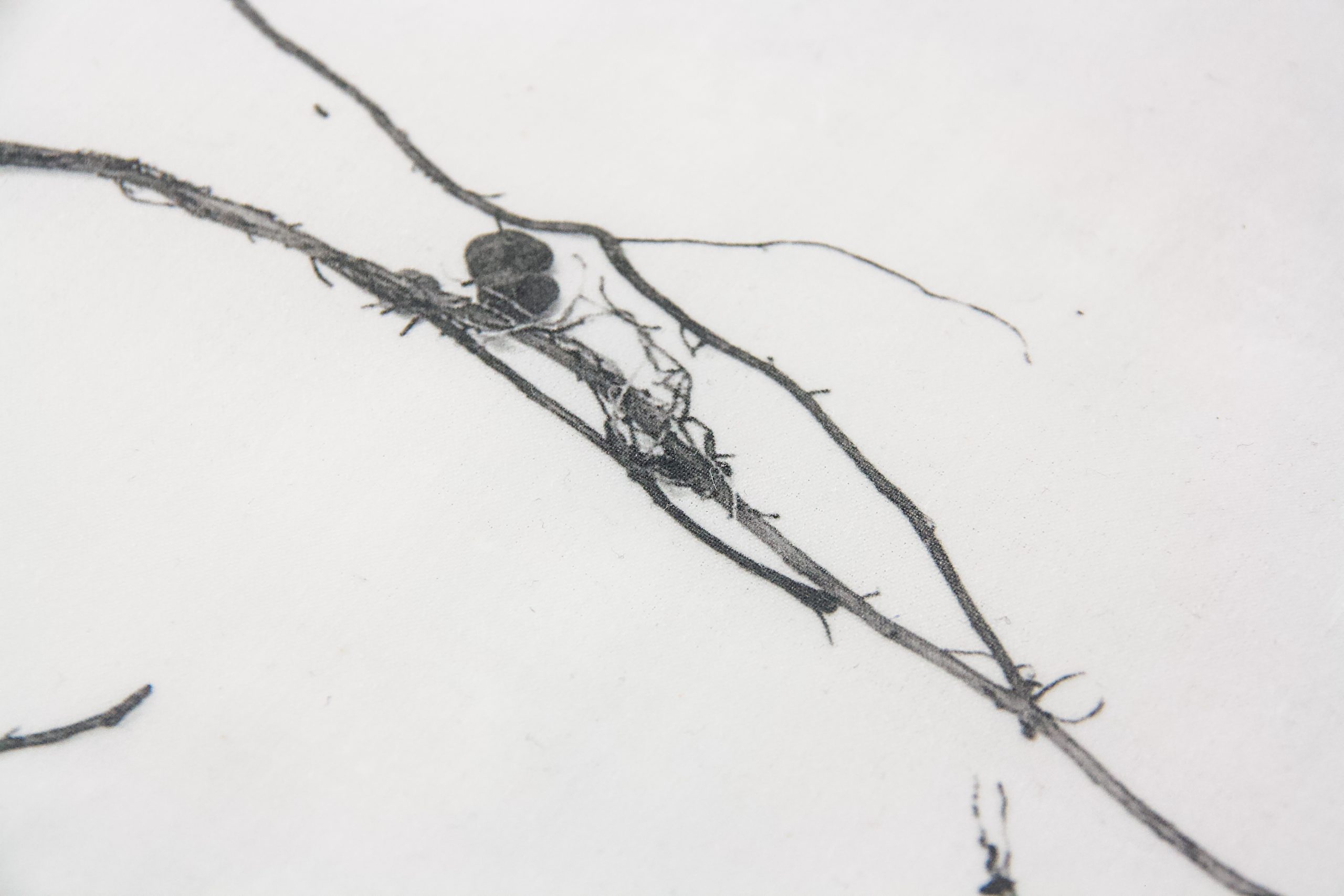 Eat After Use_Tischdecke-4_© Lena Beigel