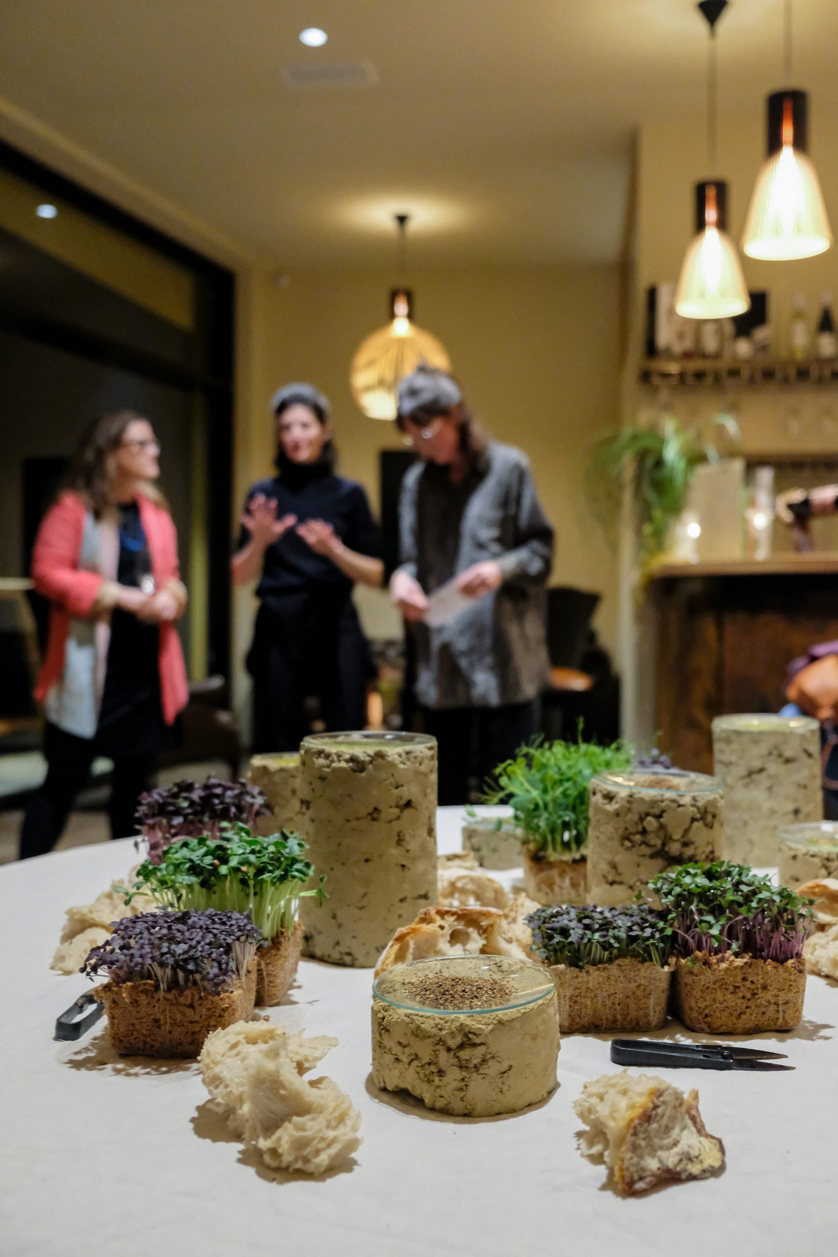 Eat After Use_Toifl-6