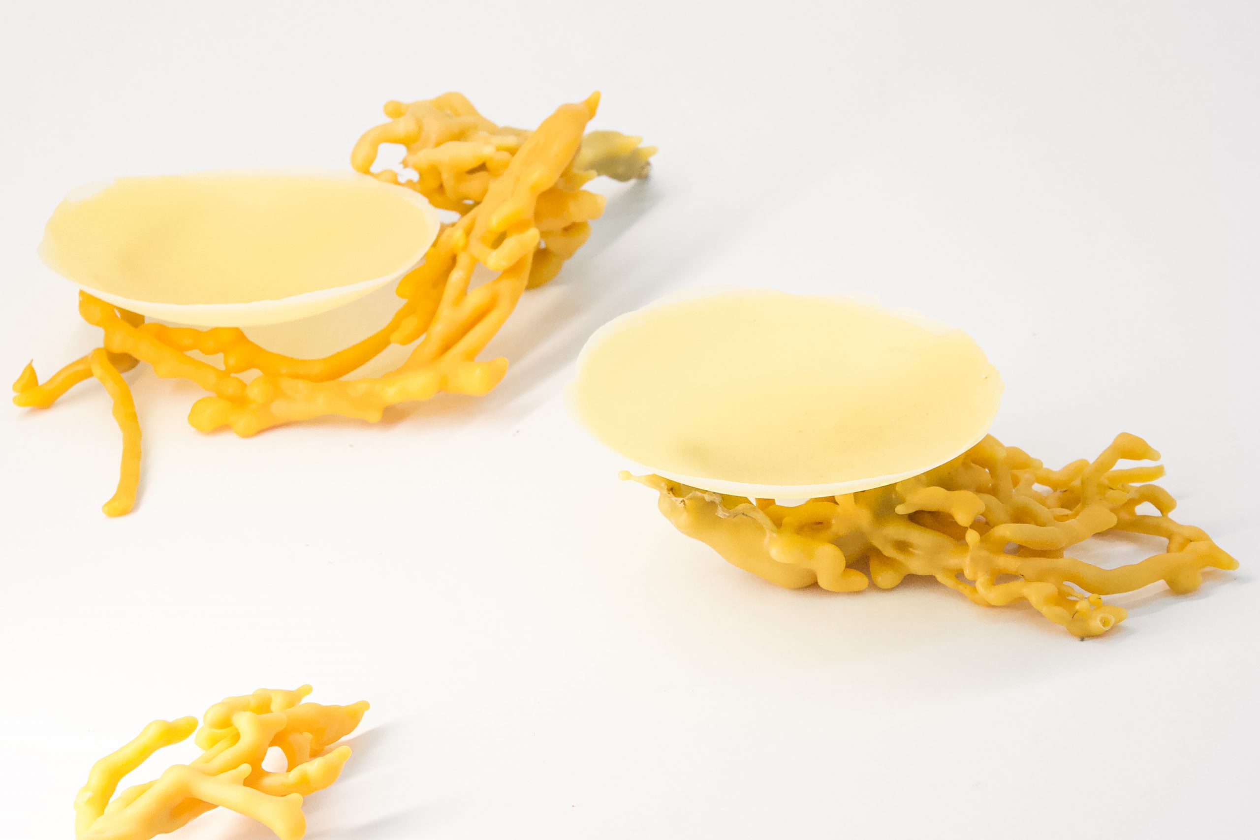 Eat After Use_Wachs-9_© Lena Beigel